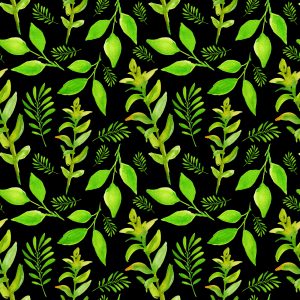 Papier Peint Feuilles De Forêt Avec Des Plantes – Image 1