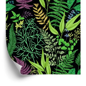 Papier Peint Feuilles De Forêt Avec Fougère – Image 2