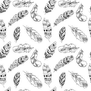 Papier Peint Plumes Noires Et Blanches – Image 1