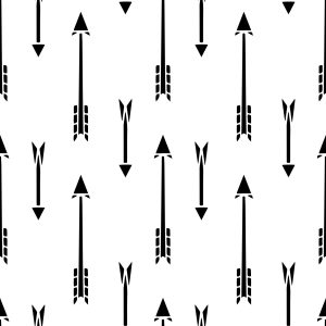 Papier Peint Flèches Indiennes – Image 1