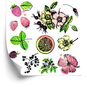 Papier Peint Oranges Z – Image 2