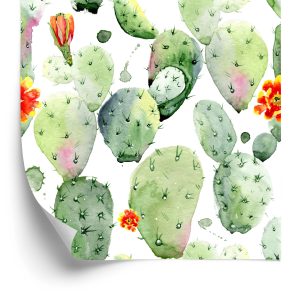 Papier Peint Cactus Avec Des Taches Et Des Fleurs – Image 2