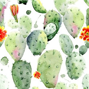 Papier Peint Cactus Avec Des Taches Et Des Fleurs – Image 1