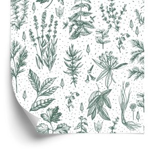 Papier Peint Pour La Cuisine, Les Feuilles, Les Plantes, Les Herbes, Les Fleurs – Image 2