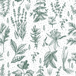 Papier Peint Pour La Cuisine, Les Feuilles, Les Plantes, Les Herbes, Les Fleurs – Image 1