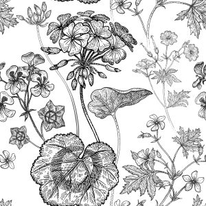 Papier Peint Géraniums Noirs Et Blancs – Image 1