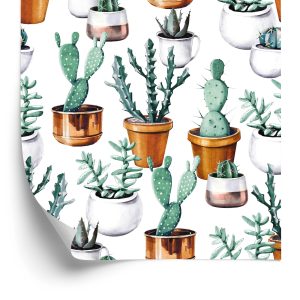 Papier Peint Cactus Peints En Pots – Image 2
