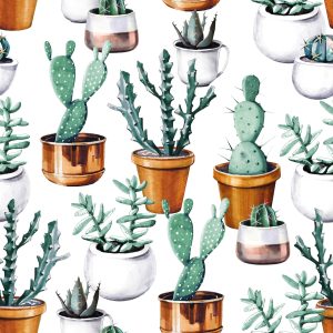 Papier Peint Cactus Peints En Pots – Image 1