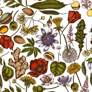 Papier Peint Plantes Des Champs Avec Des Herbes Et Des Épices – Image 1