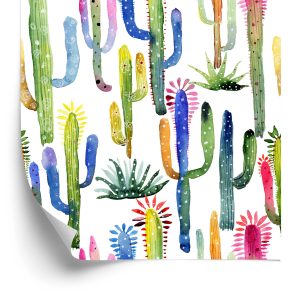 Papier Peint Cactus Colorés – Image 2