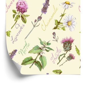 Papier Peint Marguerites À La Lavande – Image 2