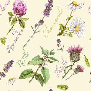 Papier Peint Marguerites À La Lavande – Image 1