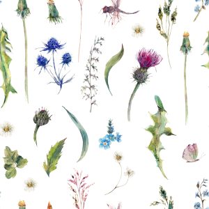 Papier Peint Herbes Des Champs Avec Des Papillons – Image 1
