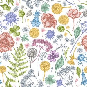 Papier Peint Fleurs Des Champs Avec Fougère – Image 1
