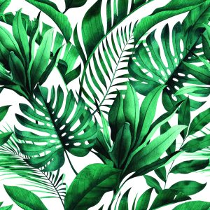 Papier Peint Vert – Image 1