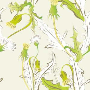 Papier Peint Jeunes Fleurs De Pissenlit – Image 1