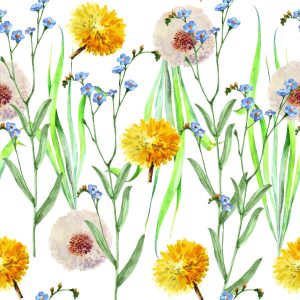 Papier Peint Pissenlits Et Fleurs Sauvages – Image 1
