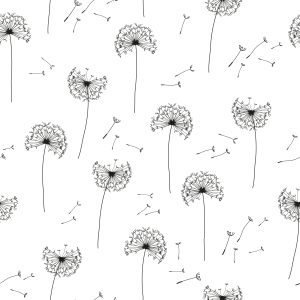Papier Peint Graines De Pissenlit Volantes – Image 1