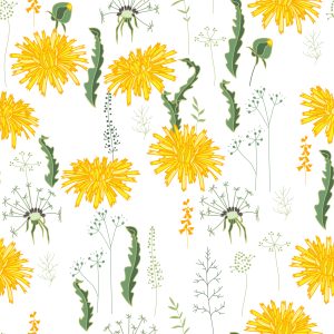 Papier Peint Fleurs De Pissenlit Avec Des Plantes De Champ – Image 1