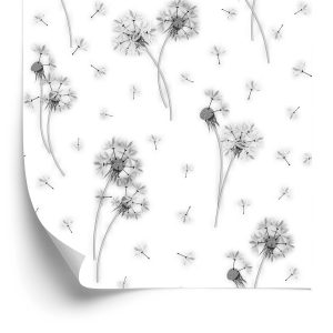 Papier Peint Fleurs De Pissenlit Noir Et Blanc – Image 2