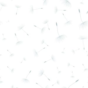 Papier Peint Graines De Pissenlit – Image 1