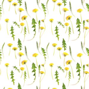 Papier Peint Fleurs De Pissenlit Avec Des Feuilles – Image 1