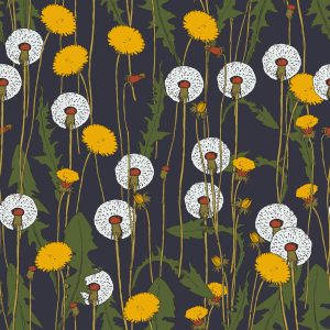 Papier Peint Pissenlits En Fleurs – Image 1