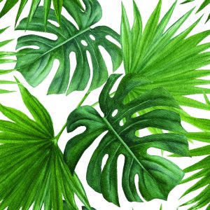 Papier Peint Feuilles Vertes – Image 1