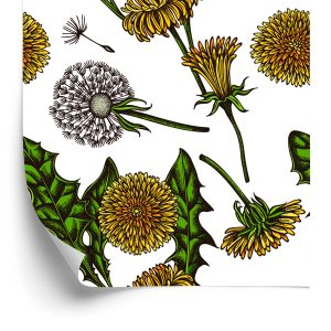 Papier Peint Pissenlits En Fleurs – Image 2