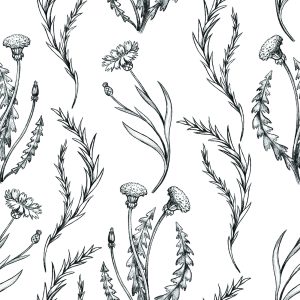 Papier Peint Pissenlits Vintage – Image 1