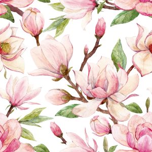 Papier Peint Fleurs De Magnolia De Printemps – Image 1