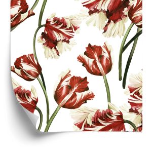 Papier Peint Tulipes Rouges Et Blanches – Image 2