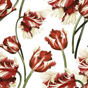 Papier Peint Tulipes Rouges Et Blanches – Image 1