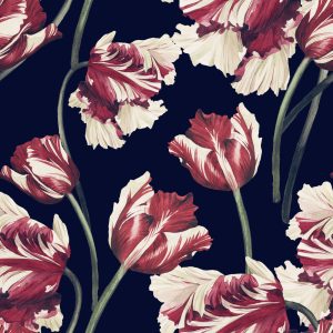 Papier Peint Tulipes Rouges Et Blanches – Image 1