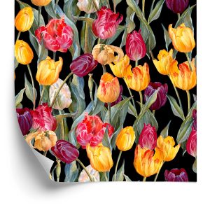 Papier Peint Tulipes Colorées – Image 2