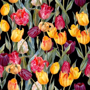 Papier Peint Tulipes Colorées – Image 1