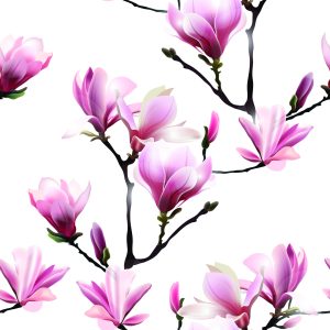 Papier Peint Fleurs De Magnolia Rose – Image 1