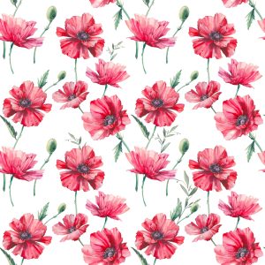 Papier Peint Coquelicots Peints Avec Des Feuilles – Image 1