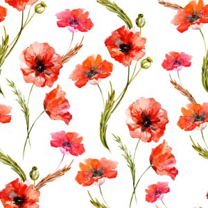 Papier Peint Coquelicots En Fleurs Dans Les Céréales – Image 1