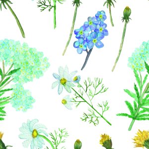 Papier Peint Fleurs Et Herbes – Image 1