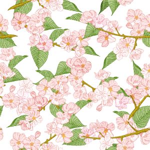Papier Peint Fleurs De Cerisier Printanières – Image 1