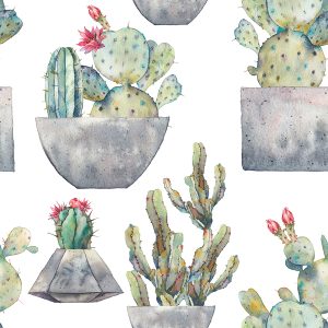 Papier Peint Cactus Avec Des Fleurs – Image 1
