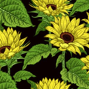 Papier Peint Tournesols – Image 1