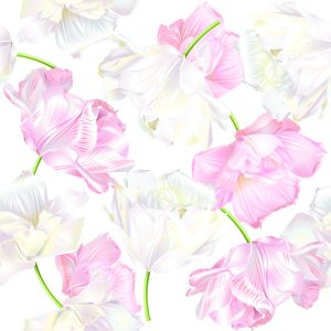 Papier Peint Tulipes Roses Et Blanches – Image 1