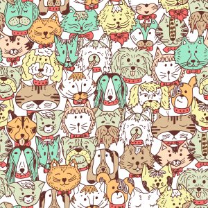 Papier Peint Chiens Et Chats Colorés – Image 1