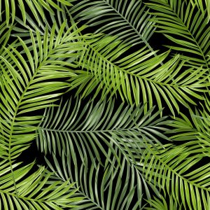 Papier Peint Feuilles Fines – Image 1
