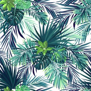 Papier Peint Feuilles Exotiques Sombres – Image 1