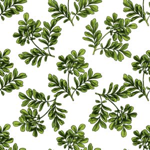 Papier Peint Feuilles Fines – Image 1