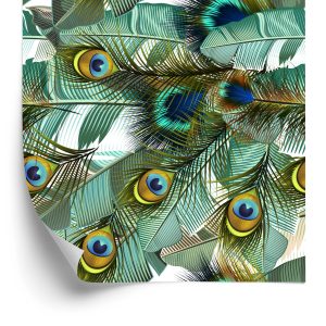 Papier Peint Feuilles Et Plumes De Paon – Image 2