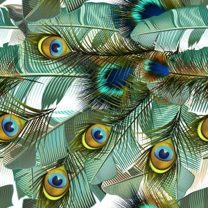 Papier Peint Feuilles Et Plumes De Paon – Image 1